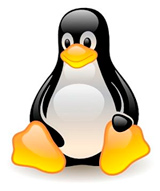 www